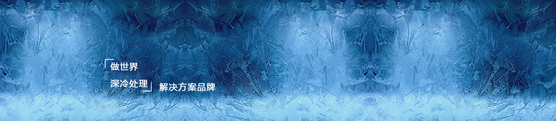 液氮速凍機(jī)